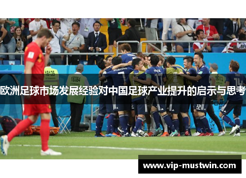 欧洲足球市场发展经验对中国足球产业提升的启示与思考