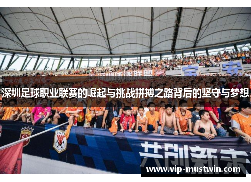 深圳足球职业联赛的崛起与挑战拼搏之路背后的坚守与梦想