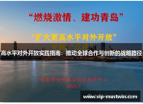 高水平对外开放实践指南:推动全球合作与创新的战略路径